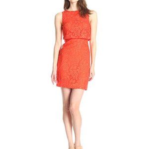 NWT Nicole Miller | Flower Organza Popover Dress